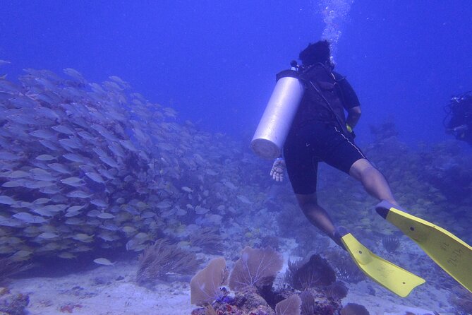 Discover Scuba - First-timer scuba in Puerto Morelos, what you actually do