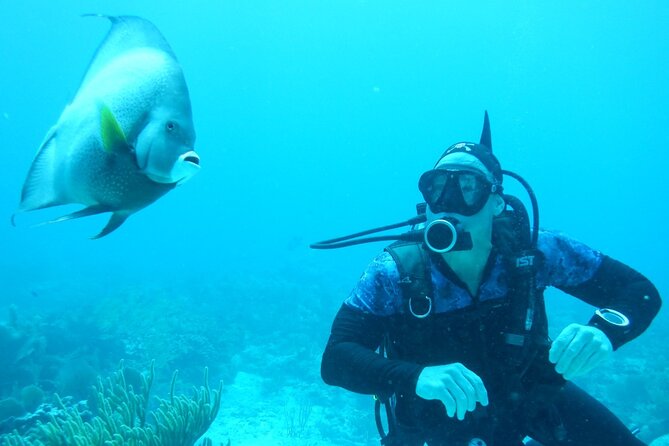 Discover Scuba - Gear is included, and that changes the whole math