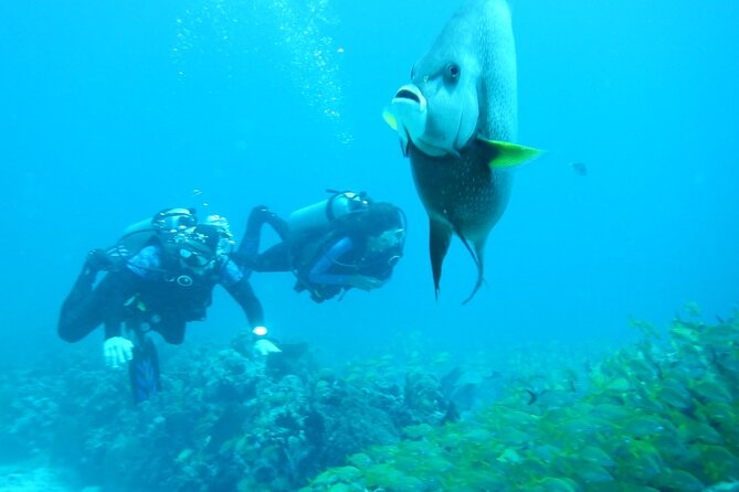 Discover Scuba - Price and value: why $140 can make sense