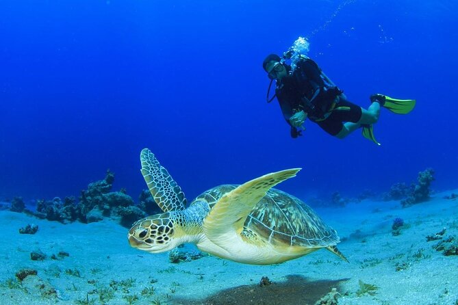 Discover Scuba Diving & Beach Club with Transportation In Riviera Maya - Maroma Beach intro scuba with hotel pickup, in about 45 minutes