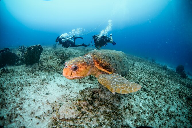 Discover Scuba Diving & Beach Club with Transportation In Riviera Maya - What Maroma Beach adds after the training