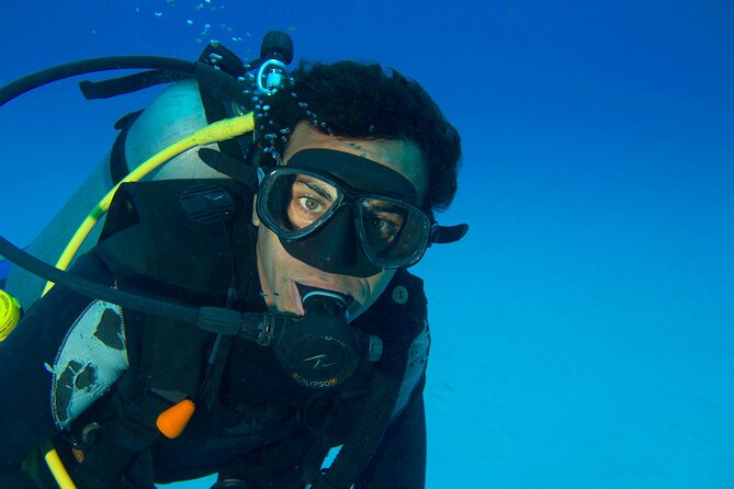 Discover Scuba Diving & Beach Club with Transportation In Riviera Maya - Price and value: what you pay, what you should budget for