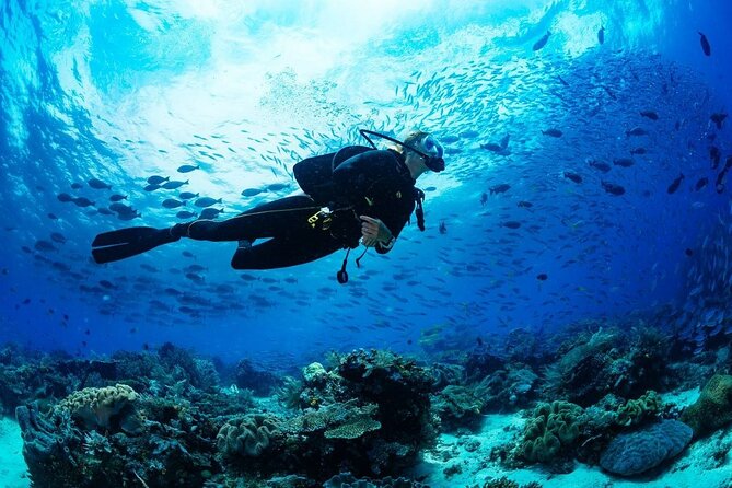 Discover Scuba Diving & Beach Club with Transportation In Riviera Maya - Safety limits you should take seriously before you go