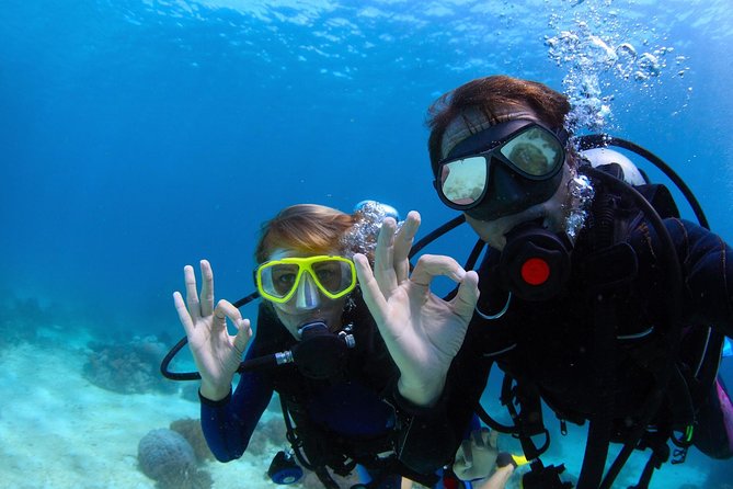 Discover Scuba Diving & Beach Club with Transportation In Riviera Maya - Gear, comfort, and the part where beginners usually get nervous