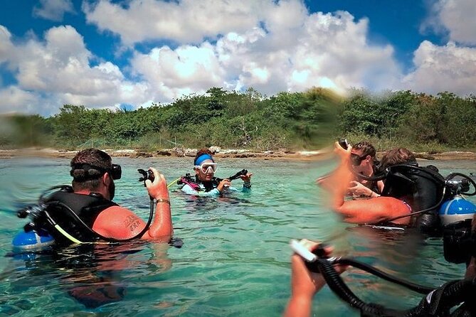 Discover Scuba Diving in Cozumel Paradise Reef - Paradise Reef for Your Second Session: Longer Time and More Marine Encounters