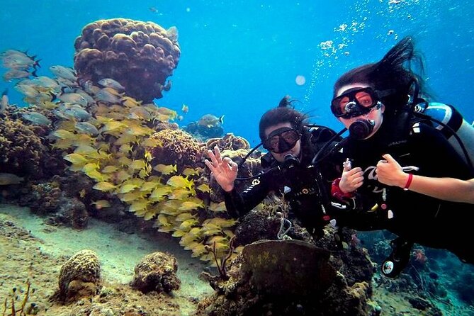 Discover Scuba Diving in Cozumel Paradise Reef - Equipment and Weighting: Comfort, Safety, and Instant Confidence