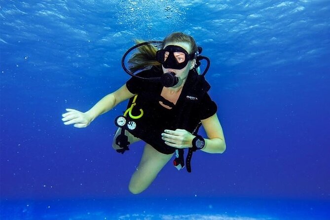 Discover Scuba Diving in Cozumel Paradise Reef - What You’ll See: Paradise Reef’s Coral, Sea Fans, and Your Best Chances
