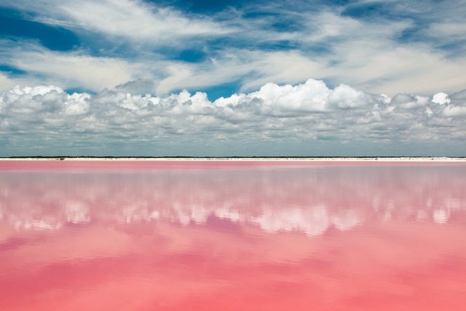 Discover the FABULOUS PINK WATERS in the Caribean - Rio Lagartos biosphere: flamingos, mangroves, and crocodiles by boat