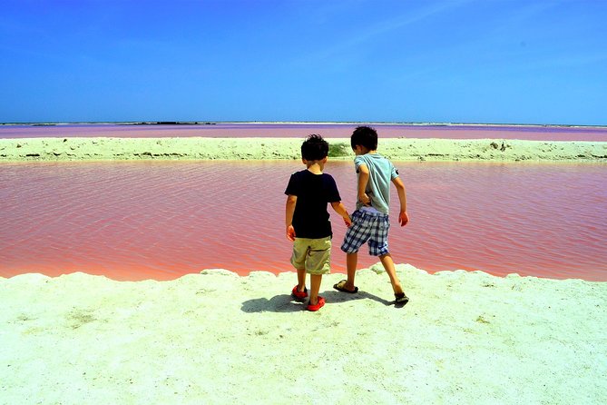 Discover the FABULOUS PINK WATERS in the Caribean - Lunch that keeps you going, plus the vegetarian option