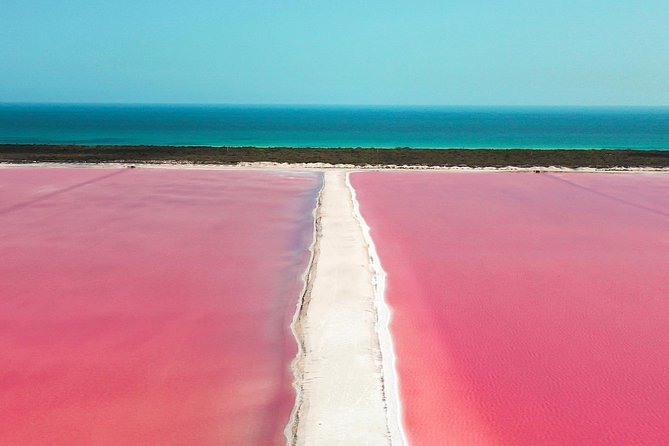 Discover the FABULOUS PINK WATERS in the Caribean - Crocodile farm stop: the hands-on highlight and the ethics question