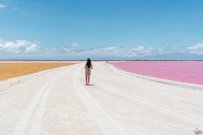 Discover the FABULOUS PINK WATERS in the Caribean - Who should book this tour, and who should think twice