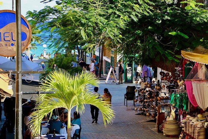 Discover Tulum, Visit Coba And Swim In A Real Mayan Cenote and Playa del carmen - What to pack and what to budget for beyond the base price