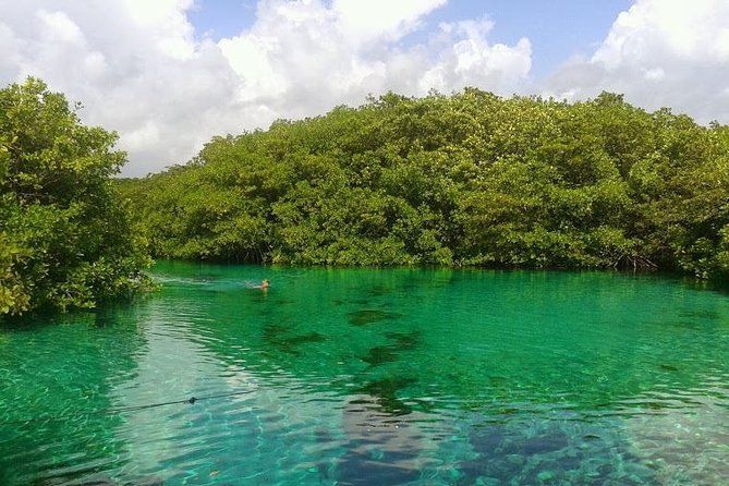 Discovery Scuba Diving !! - How timing and the Puerto Morelos check-in work