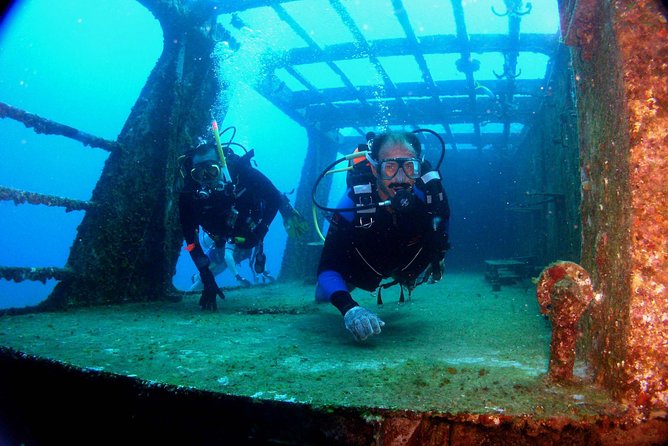 Diving in Cancun for Certified Divers | 2 Dives | All Inclusive - Cancun’s MUSA and reefs, the value behind the headline