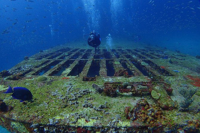 Diving in Cancun for Certified Divers | 2 Dives | All Inclusive - MUSA logistics and expectations: great for photos, not always “exact depth”