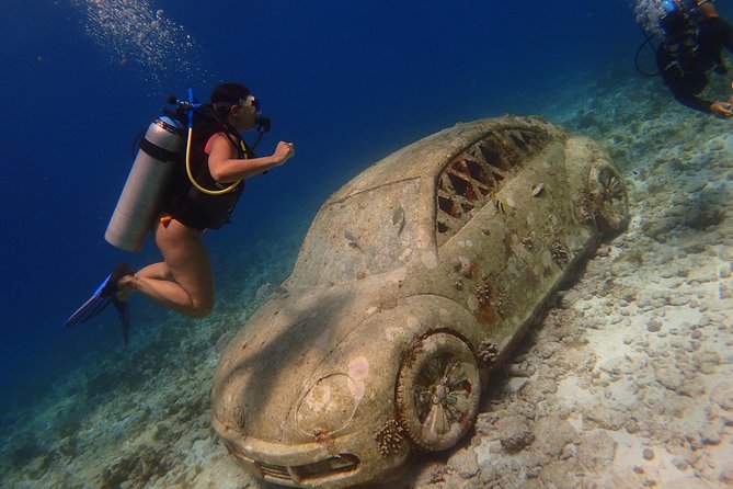 Diving in Cancun for Certified Divers | 2 Dives | All Inclusive - Two underwater sessions: how the flow usually feels