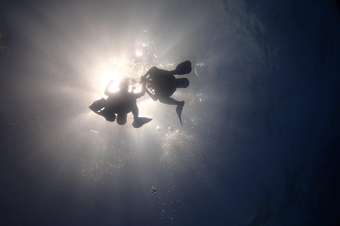 Diving in the Mexican Caribbean for Beginners | 2 Tanks 2 Dives | All Inclusive - Stop 2: Natural Reef and Tropical Life for Your Second Session