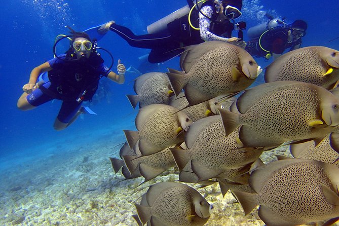 Diving in the Mexican Caribbean for Beginners | 2 Tanks 2 Dives | All Inclusive - Staying Fueled and the Small-Group Advantage