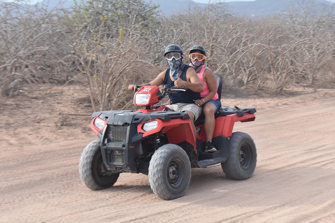 Double ATV Migriño Beach & Desert - Cactus spotting with 50+ species, plus whale watching when it’s in season