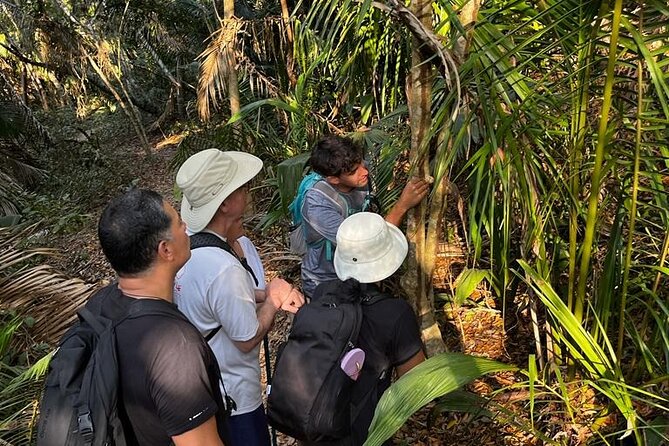 EcoHike to private beach, Jungle Walk to see plants & animals - Flora and fauna lessons you can use the moment you’re there