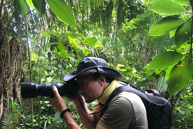 EcoHike to private beach, Jungle Walk to see plants & animals - The hills, the pacing, and the real difficulty level
