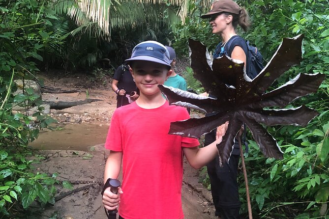 EcoHike to private beach, Jungle Walk to see plants & animals - What’s included, and what you should bring anyway