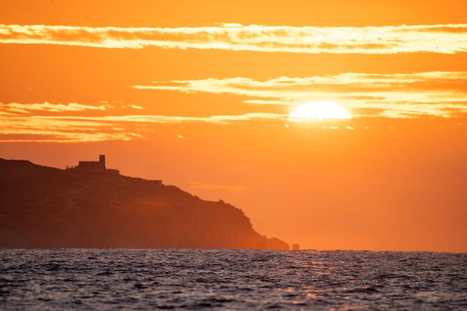 Educational Sunrise Whale Watching with Photos Included - Sunrise Whale Watching from Cabo San Lucas, Not a Typical Boat Tour