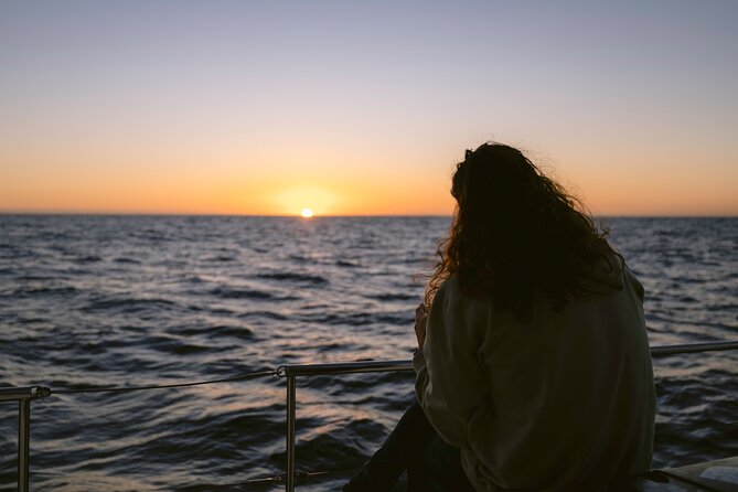 Educational Sunrise Whale Watching with Photos Included - The 6:00 am Start: Why This Time Works in Your Favor