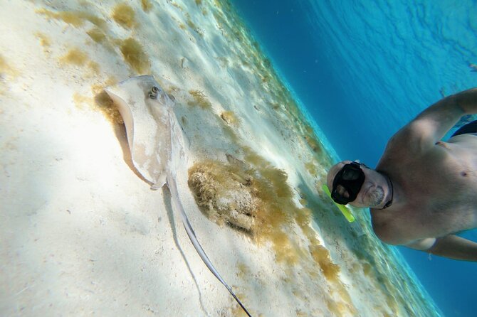 El Cielo Cozumel Snorkeling trip by Catamaran - Food and drinks onboard, and how the portion stories add up