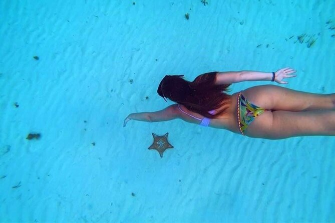 El Cielo Cozumel Snorkeling trip by Catamaran - How the catamaran trip is paced, and why it matters