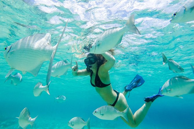 El Cielo Snorkel by Private Boat - Why This Private El Cielo Snorkel Feels Like a Day Off, Not a Tour