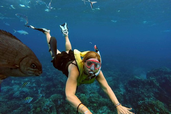 El Cielo Snorkel by Private Boat - Food, Drinks, and the Comfort Stuff That People Actually Remember