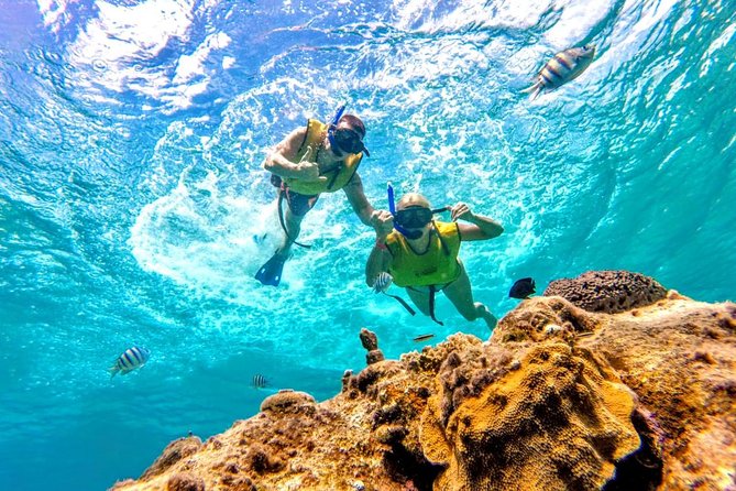 El Cielo Snorkel by Private Boat - Who This Tour Is For, and Who Should Skip It