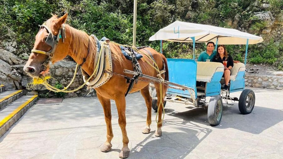 El mejor Tour a "Cola de Caballo" + Guía + Traslado +Tickets - Small groups and the guide factor: why Carlos, Jonathan, Nelly, and Francisco show up again and again