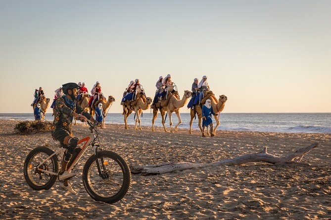 Electric Bike and Beach Camel Ride with Mexican Buffet Lunch - Key highlights you should care about