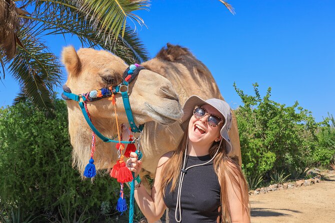 Electric Bike and Beach Camel Ride with Mexican Buffet Lunch - Price and value: what $129 really costs in Cabo
