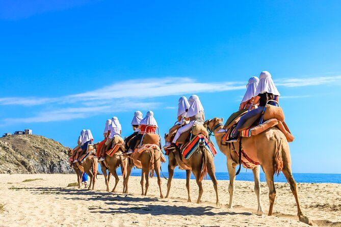Electric Bike and Beach Camel Ride with Mexican Buffet Lunch - Logistics that matter: timing, group size, and what to bring