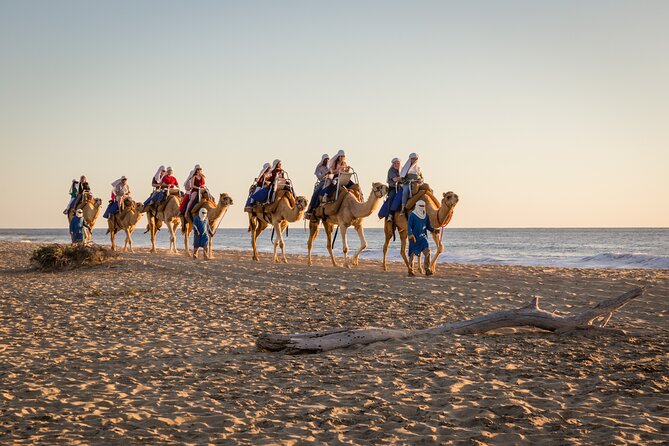 Electric Bike and Beach Camel Ride with Mexican Buffet Lunch - From pickup to the Pacific drive (and whale season tips)