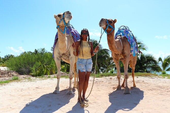 ENJOY UNIQUE CAMEL RIDE in Puerto Morelos with Transportation - The Photo Stop: Optional, Professional, and Sometimes Pricey