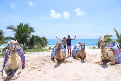 ENJOY UNIQUE CAMEL RIDE in Puerto Morelos with Transportation