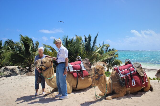 ENJOY UNIQUE CAMEL RIDE in Puerto Morelos with Transportation - Price and Value: Why $165 Might Feel Fair or Not