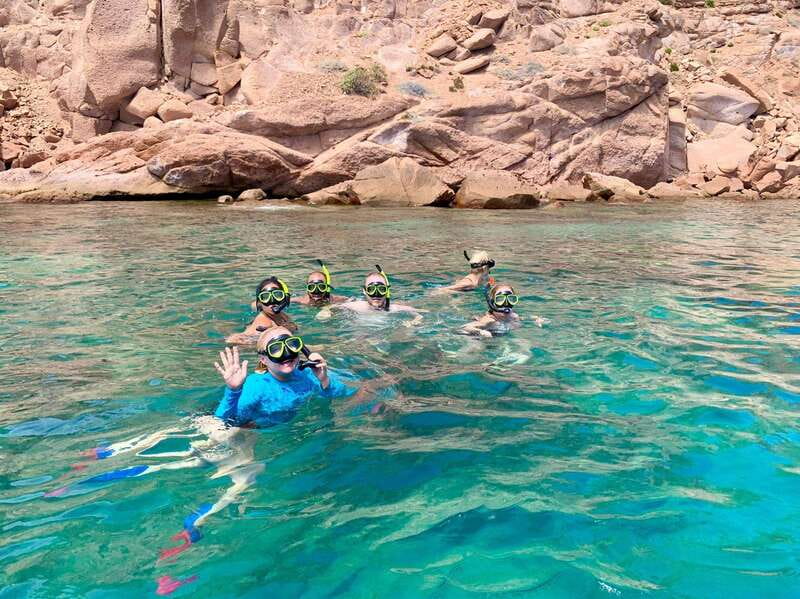 Espiritu Santo Island: Snorkeling Sea Lion Adventure - The Sea Lion Swim at Los Islotes: What Makes It Special and What Can Change