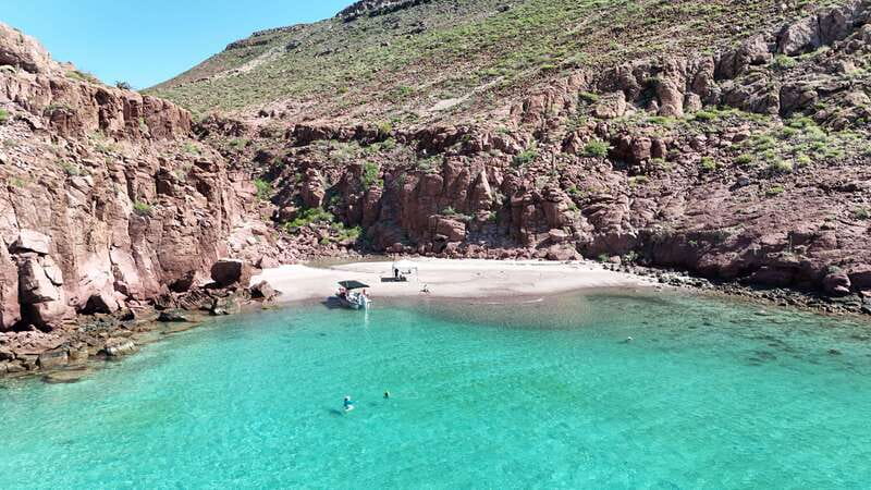 Espiritu Santo Island: Snorkeling Sea Lion Adventure - Reef Time, San Gabriel Bay, and the Stops That Break Up the Day