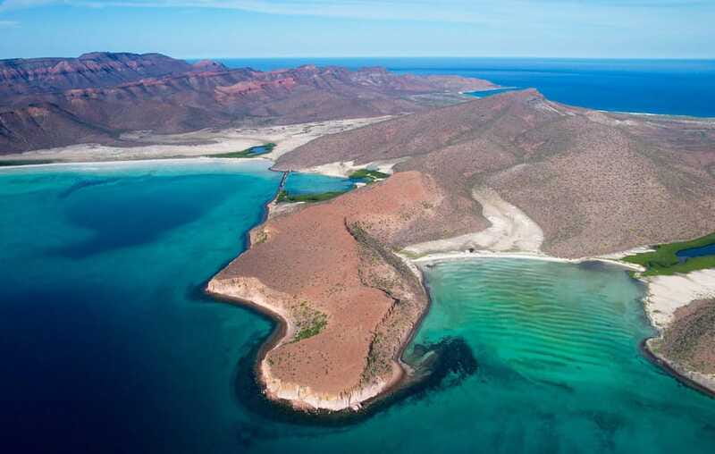 Espiritu Santo Island: Snorkeling Sea Lion Adventure - Beach Lunch on Espíritu Santo: Fresh Ceviche and a Beach Picked for Comfort