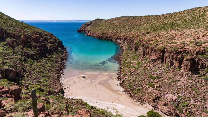 Espiritu Santo Island: Snorkeling Sea Lion Adventure - Who This Tour Fits Best (and Who Should Skip It)