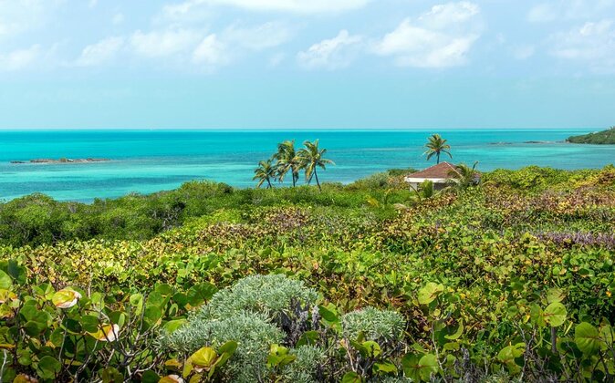Explore Contoy Island - Key takeaways before you go