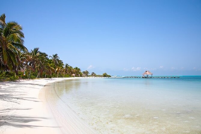 Explore Contoy Island - Snorkel at Ixlache Reef, and who this part suits
