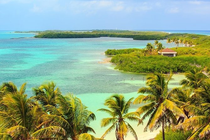 Explore Contoy Island - Price and logistics: what $169 gets you, and what costs extra