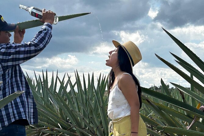 Explore Hierve el Agua, Mitla, Tule, Textile and Mezcal for a day - Mezcal at El Rey de Matatlán: production steps and a tasting you can trust