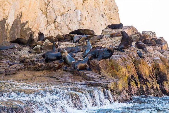 Explore Los Cabos City Tour, Glass-Bottom Boat Ride, Lunch and Shopping! - Lunch at El Herradero Restaurant: Good Fuel, With a Few Watch-Outs